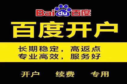 某电商平台的SEM优化全流程案例分享